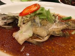 -六婶西关小厨(光塔路店)