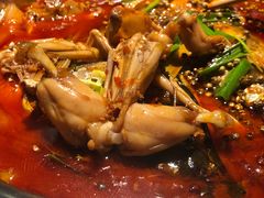 -宽口美蛙鱼头(大唐西市店)