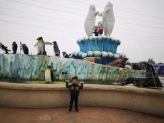 -芜湖新华联大白鲸海洋公园