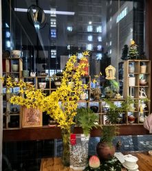 -花间禅净·瑜伽