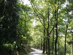 -峙山公园