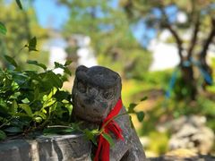 -龙华寺