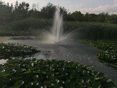 -前关湿地公园