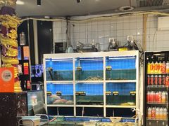 -金龙·打边炉(南京西路店)