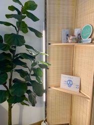 -FACE·日本小颜矫正美容整骨サロン