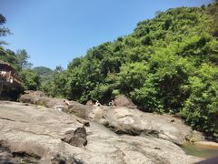 -广州白江湖森林公园