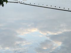 -南宁南湖公园
