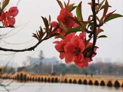 -澹台湖公园