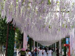 -厦门方特梦幻王国