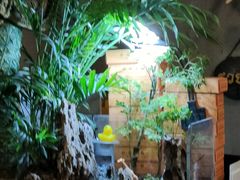 -Siam泰餐厅(水上公园店)