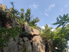 -紫金山山顶公园
