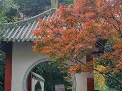 -中山公园