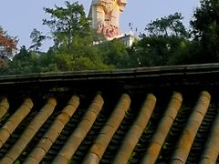 -大金鹰园