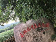 -中国茶叶博物馆(双峰馆区)