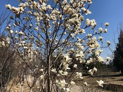 -永定河休闲森林公园