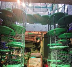 -恐龙探索乐园(磁器口店)