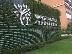 -三亚湾红树林度假世界(木棉酒店)
