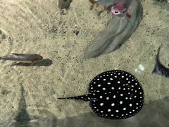 -江和美海洋公园