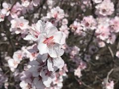 -北京鹫峰国家森林公园