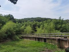-宝界山林公园