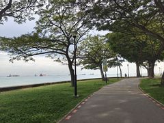 -东海岸人工湖美食村