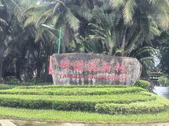 -呀诺达热带雨林