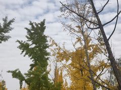 -汉长安城未央宫国家考古遗址公园