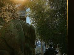-龙潭水乡