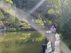 -仙居谷风景区
