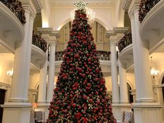 -Salon de Ville浦江汇(上海外滩华尔道夫酒店店)