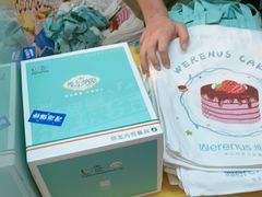 -维尔纳斯·生日蛋糕动物奶油冰淇淋蛋糕(人大店)