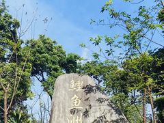 -福建鲤鱼洲酒店