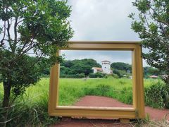 -济州森林小火车生态公园