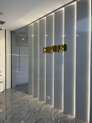 点击看大图 -COSMO PRO造型