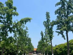 -明故宫遗址公园
