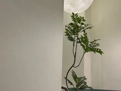 -魚當家