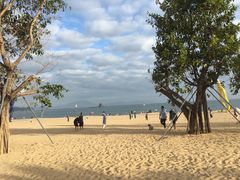 -大梅沙海滨公园