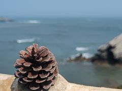 -大连金石滩滨海国家地质公园