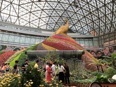 -昆明花之城豪生国际大酒店·怡享阁