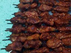 -尕胡才炕锅烤羊肉馆(八一路店)