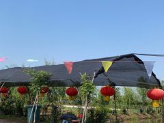 -同銮特种养殖场·龙虾垂钓