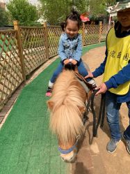 -萌宠亲子动物乐园(槐房万达店)