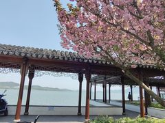 -东钱湖旅游度假区