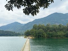 -广州市流溪河国家森林公园