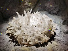-正佳自然科学博物馆