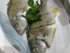 -临家小院·潮汕菜·商务宴请·点心(白石洲店)