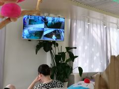 -BlueBubble蓝泡泡婴幼儿游泳会所(合川路店)