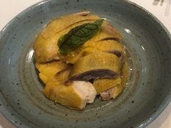 -瓦库茶馆17号(海汇港店)