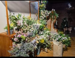 -七色田儿童摄影(静安店)