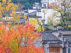 -塔川景区